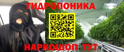 соль ск Усть-Илимск