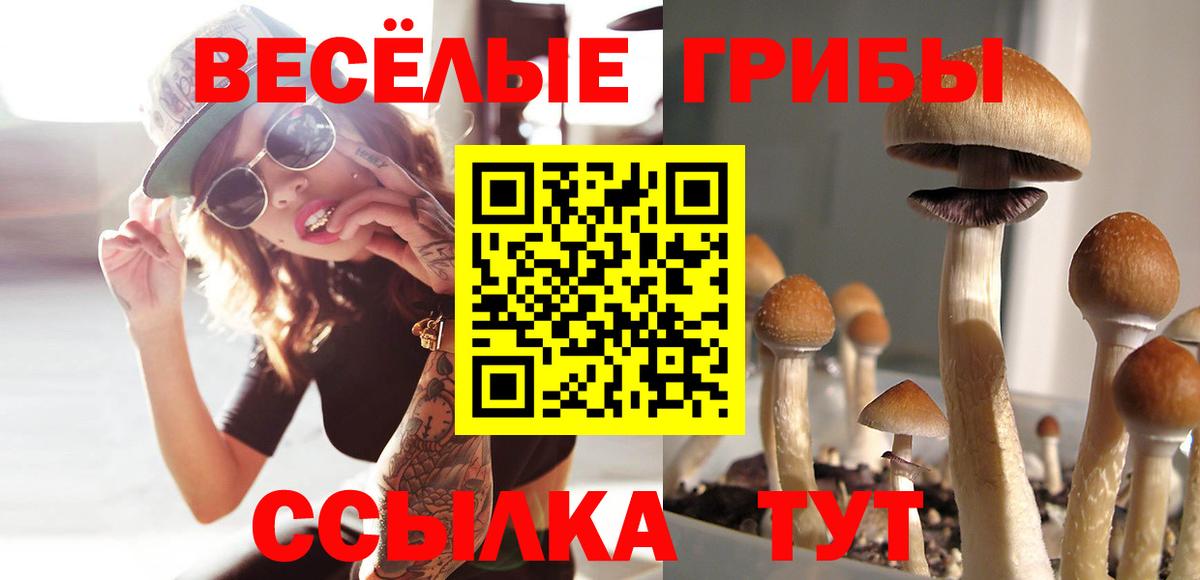 Псилоцибиновые грибы GOLDEN TEACHER Богородицк