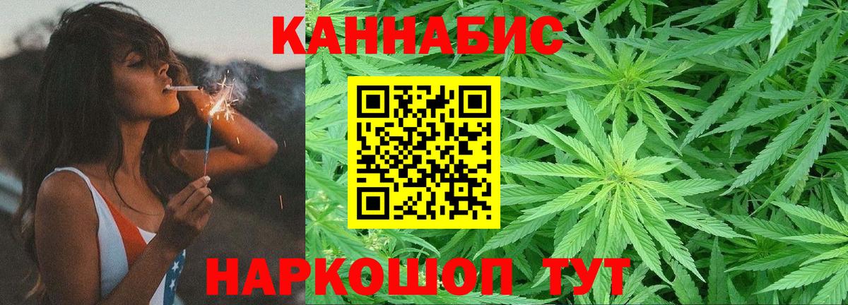 Бошки Шишки планчик Богородицк